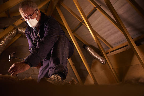 Best Commercial Insulation in Roxborough Park, CO